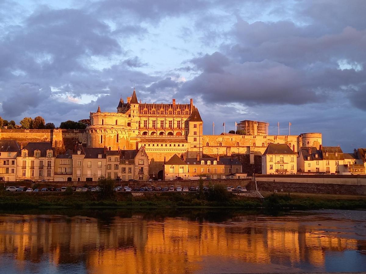 La Petite Lucette Villa Amboise Ngoại thất bức ảnh