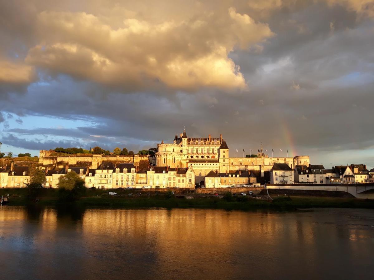 La Petite Lucette Villa Amboise Ngoại thất bức ảnh