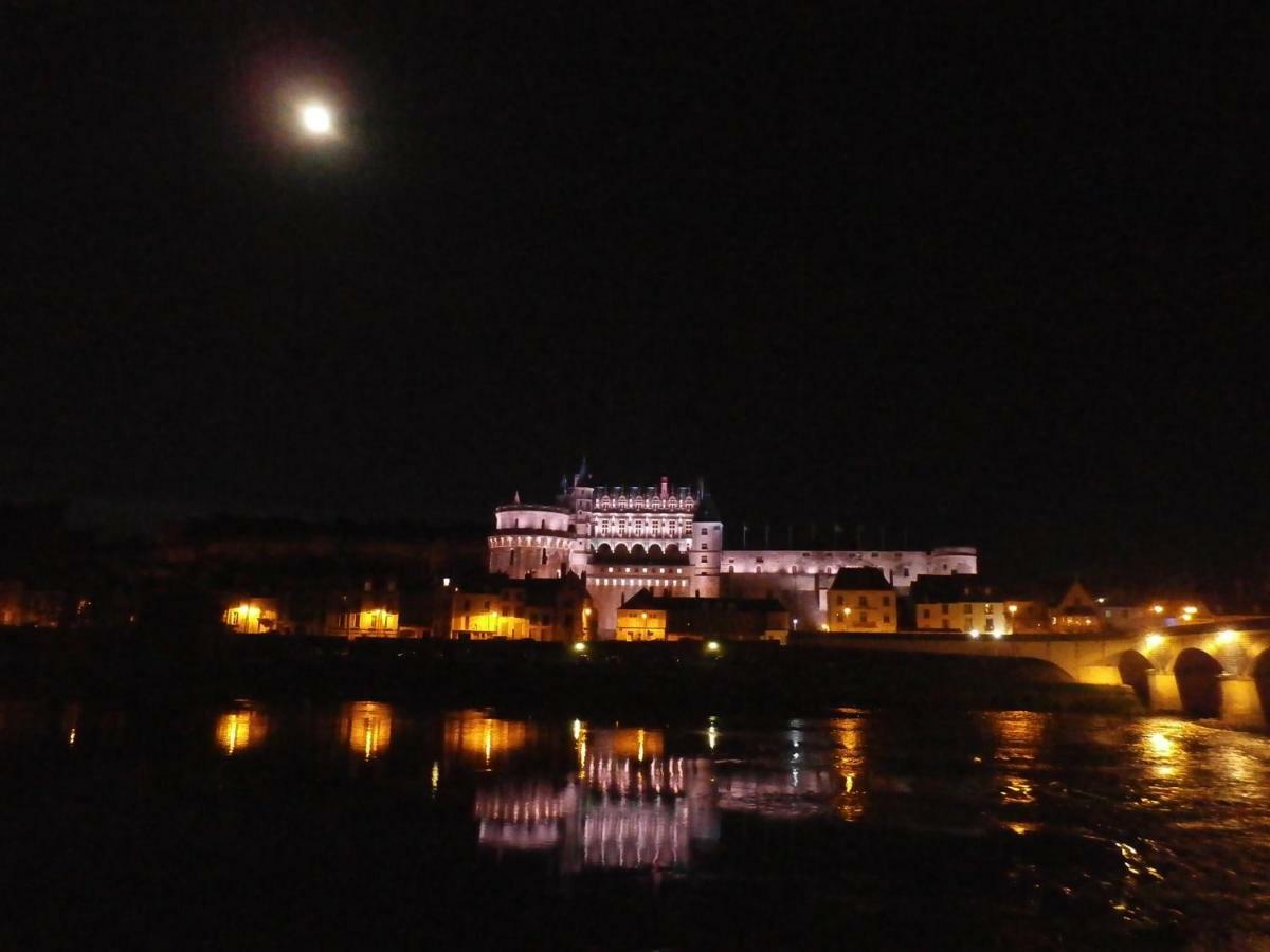 La Petite Lucette Villa Amboise Ngoại thất bức ảnh